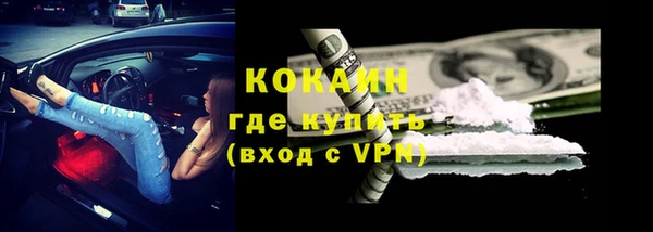 соль ск Алексин