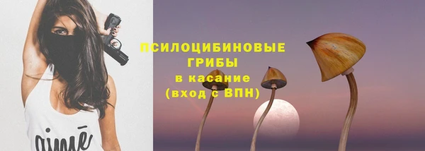 не бодяженный Няндома